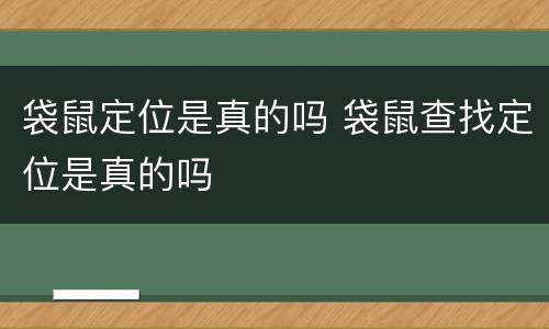袋鼠定位是真的吗 袋鼠查找定位是真的吗