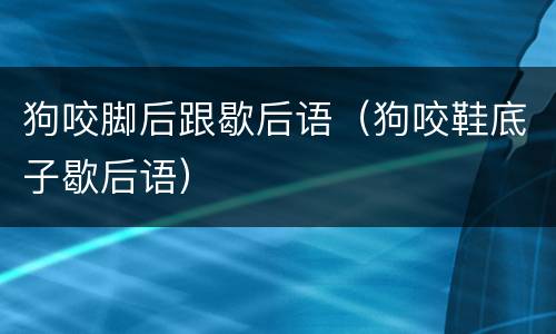 狗咬脚后跟歇后语（狗咬鞋底子歇后语）