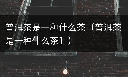 普洱茶是一种什么茶（普洱茶是一种什么茶叶）