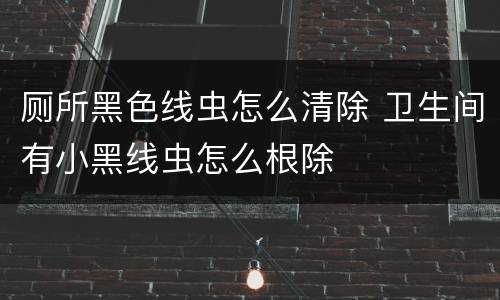 厕所黑色线虫怎么清除 卫生间有小黑线虫怎么根除