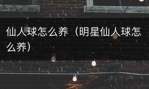 仙人球怎么养（明星仙人球怎么养）