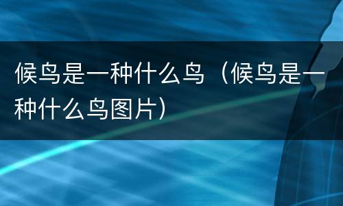 候鸟是一种什么鸟（候鸟是一种什么鸟图片）