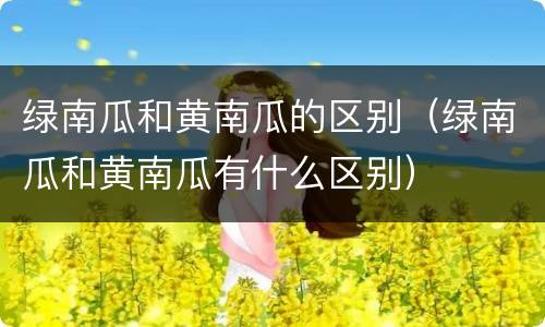 绿南瓜和黄南瓜的区别（绿南瓜和黄南瓜有什么区别）