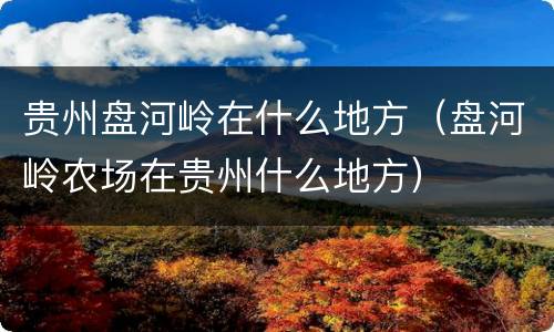 贵州盘河岭在什么地方（盘河岭农场在贵州什么地方）