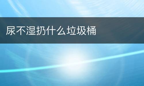 尿不湿扔什么垃圾桶