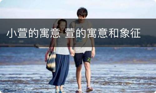 小萱的寓意 萱的寓意和象征