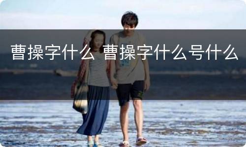 曹操字什么 曹操字什么号什么