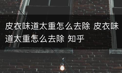 皮衣味道太重怎么去除 皮衣味道太重怎么去除 知乎