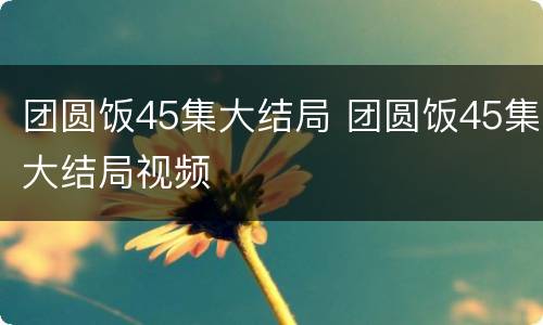 团圆饭45集大结局 团圆饭45集大结局视频