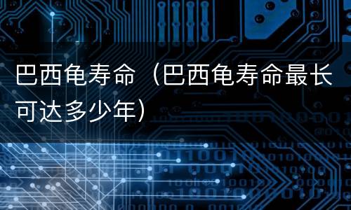 巴西龟寿命（巴西龟寿命最长可达多少年）