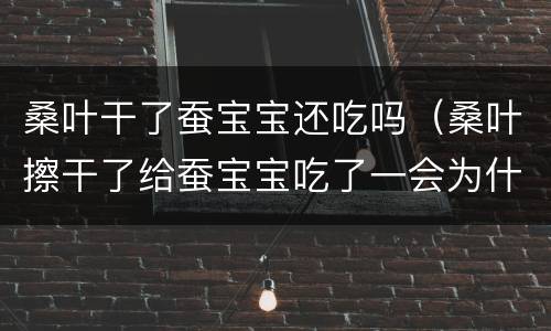 桑叶干了蚕宝宝还吃吗（桑叶擦干了给蚕宝宝吃了一会为什么上面又有水了）