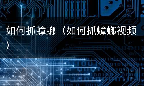 如何抓蟑螂（如何抓蟑螂视频）