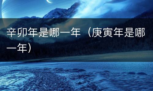 辛卯年是哪一年（庚寅年是哪一年）