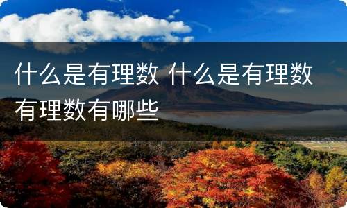 什么是有理数 什么是有理数 有理数有哪些