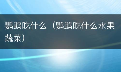 鹦鹉吃什么（鹦鹉吃什么水果蔬菜）