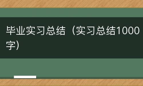 毕业实习总结（实习总结1000字）