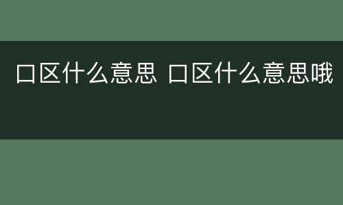 口区什么意思 口区什么意思哦