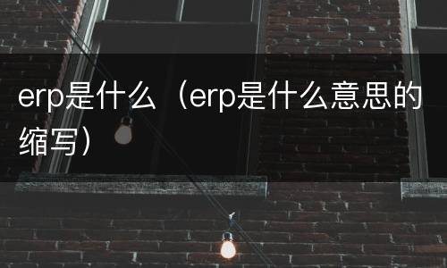 erp是什么（erp是什么意思的缩写）