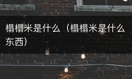 榻榻米是什么（榻榻米是什么东西）