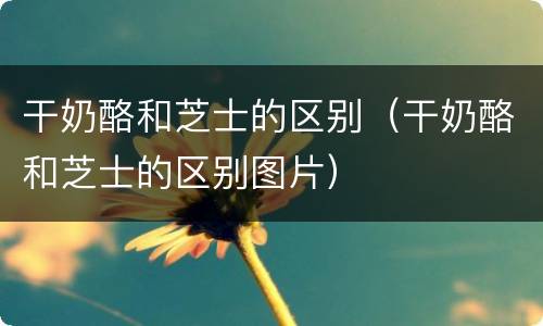 干奶酪和芝士的区别（干奶酪和芝士的区别图片）