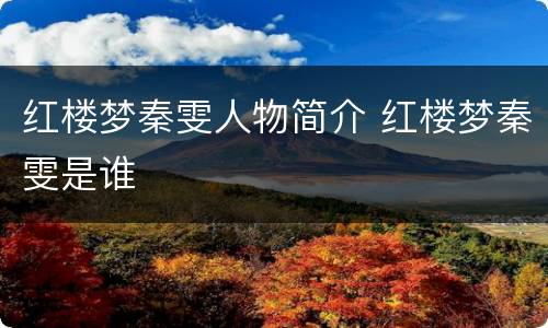 红楼梦秦雯人物简介 红楼梦秦雯是谁