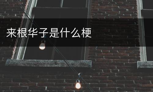 来根华子是什么梗