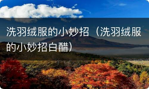 洗羽绒服的小妙招（洗羽绒服的小妙招白醋）