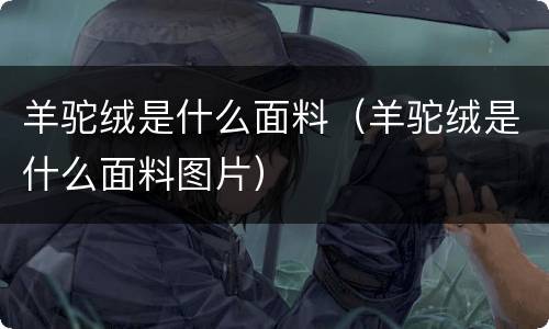 羊驼绒是什么面料（羊驼绒是什么面料图片）