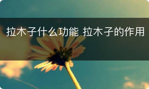拉木子什么功能 拉木孑的作用