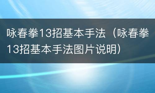 咏春拳13招基本手法（咏春拳13招基本手法图片说明）