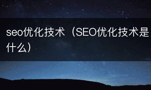 seo优化技术（SEO优化技术是什么）