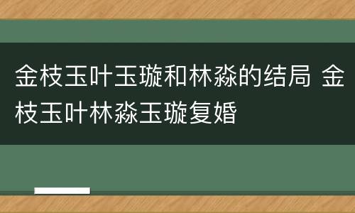 金枝玉叶玉璇和林淼的结局 金枝玉叶林淼玉璇复婚
