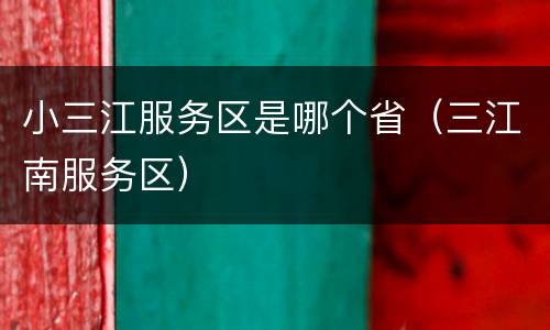 小三江服务区是哪个省（三江南服务区）
