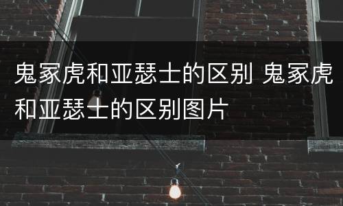 鬼冢虎和亚瑟士的区别 鬼冢虎和亚瑟士的区别图片