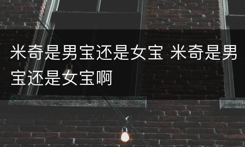 米奇是男宝还是女宝 米奇是男宝还是女宝啊