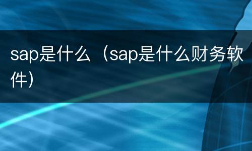 sap是什么（sap是什么财务软件）