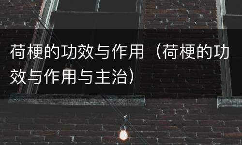 荷梗的功效与作用（荷梗的功效与作用与主治）