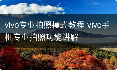 vivo专业拍照模式教程 vivo手机专业拍照功能讲解