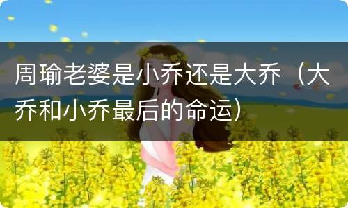 周瑜老婆是小乔还是大乔（大乔和小乔最后的命运）