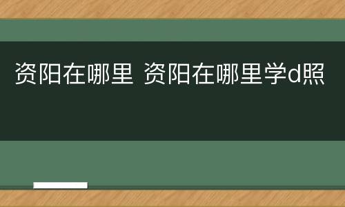 资阳在哪里 资阳在哪里学d照