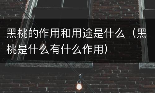 黑桃的作用和用途是什么（黑桃是什么有什么作用）