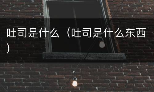 吐司是什么（吐司是什么东西）