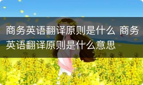商务英语翻译原则是什么 商务英语翻译原则是什么意思