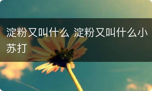 淀粉又叫什么 淀粉又叫什么小苏打