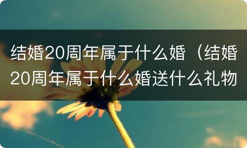结婚20周年属于什么婚（结婚20周年属于什么婚送什么礼物）
