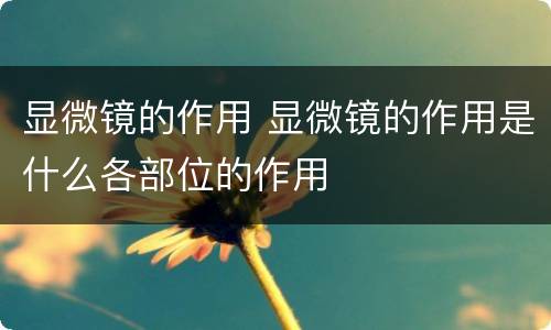显微镜的作用 显微镜的作用是什么各部位的作用