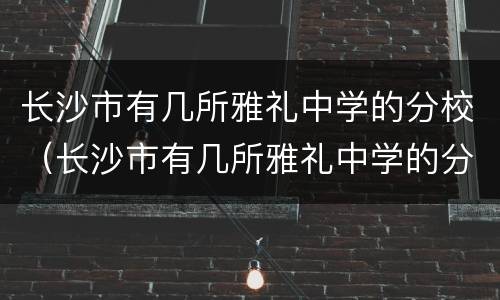 长沙市有几所雅礼中学的分校（长沙市有几所雅礼中学的分校啊）