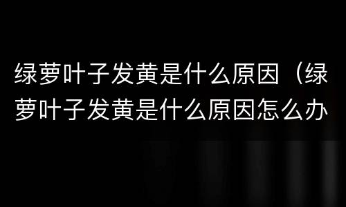 绿萝叶子发黄是什么原因（绿萝叶子发黄是什么原因怎么办）