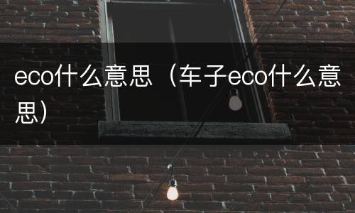 eco什么意思（车子eco什么意思）