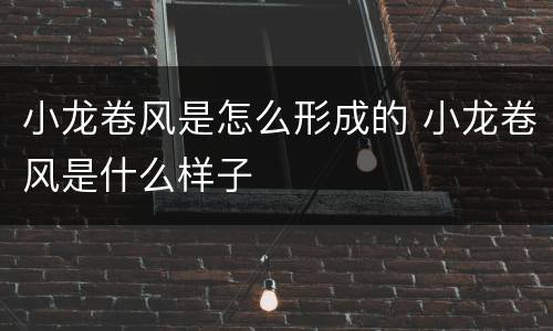 小龙卷风是怎么形成的 小龙卷风是什么样子